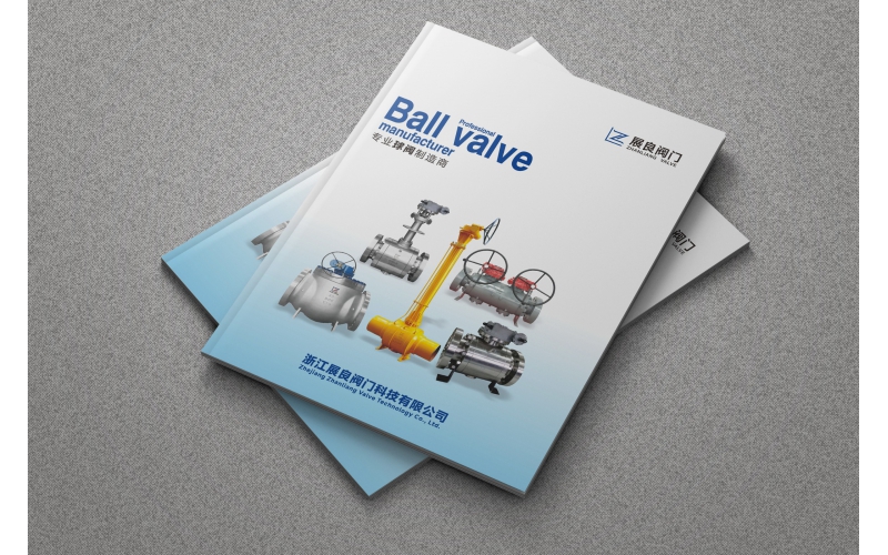 չ������